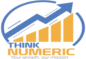 logo Think Numerik